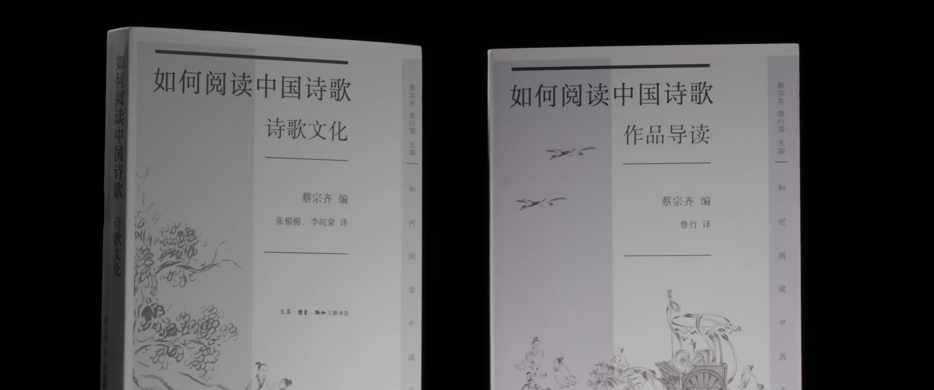 如何閲讀中國詩歌 書籍實拍宣傳