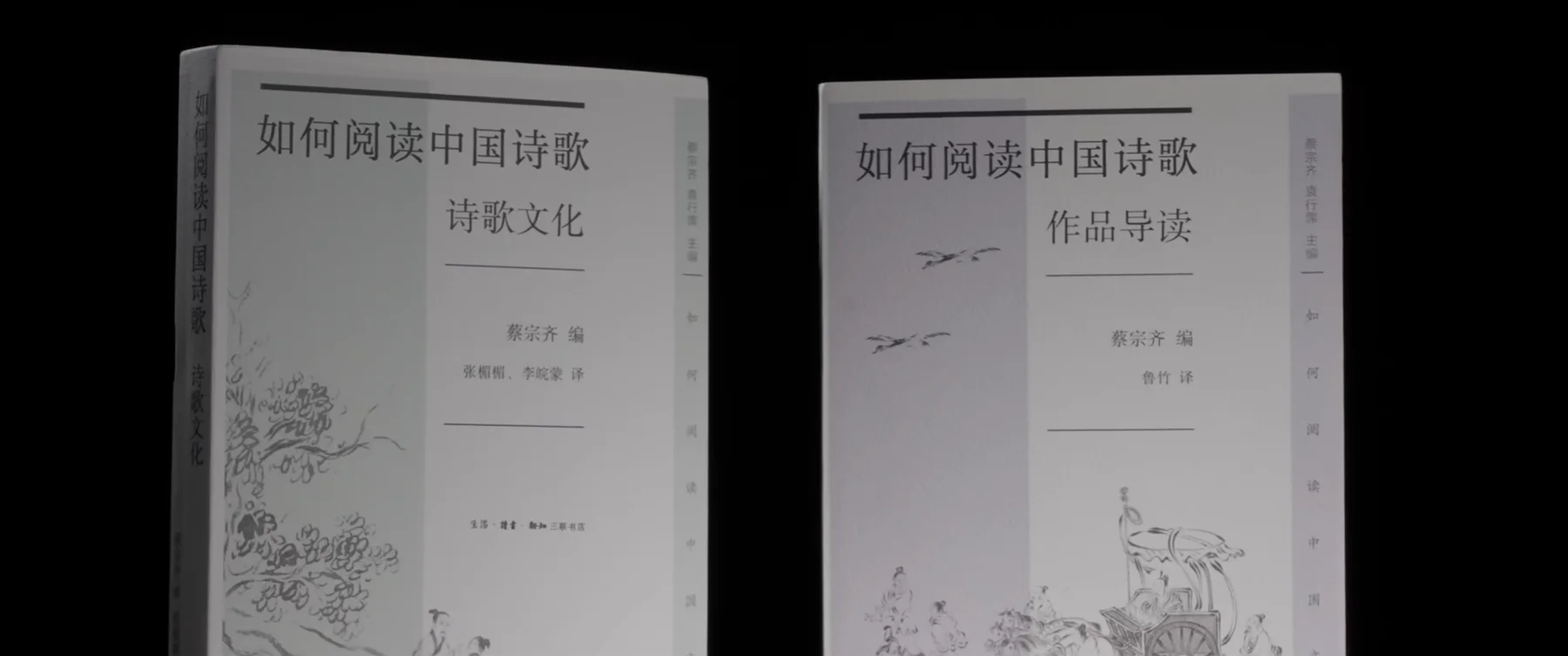 如何閲讀中國詩歌 書籍實拍宣傳